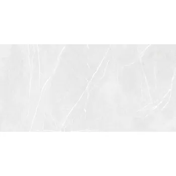 Dlažba RAKO Dlažba Rako Touch světle šedá mat rektifikovaná 59,8x119,8 DAKV9902 DAKV9902