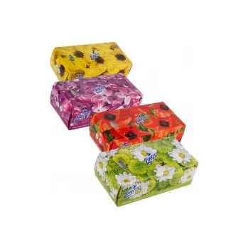 Papírové kapesníčky Linteo v krabičce, 2 vrstvy, 150 ks, 15 krabiček/ktn