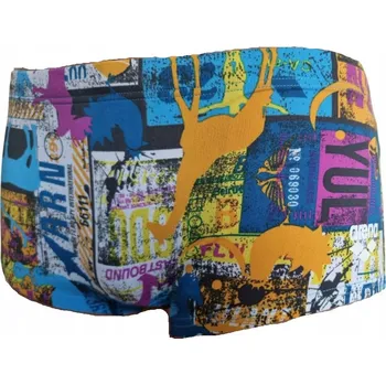 Pánské plavky Y6423 Arena M PASSPORT LOW WAIST SHORT PÁNSKÉ PLAVKY SLIPOVÉ S NÍZKÝM PASEM D4 UK32 F80