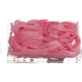 Obraz Přírodní peříčka MEGA PAKA - dekorace na svatba