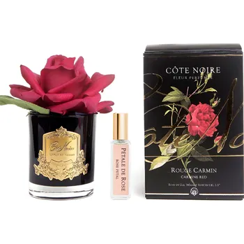 Aroma difuzér Côte Noire parfémovaná růže Carmine Red v černé váze