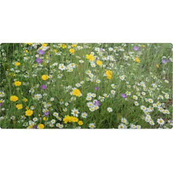 Obraz Ochranná podložka Wallfluent 60 x 120 cm, vícebarevná