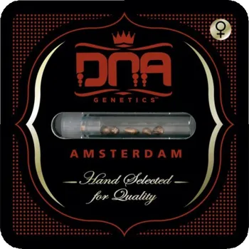 Vibrátor Purple Kosher fem. (balení 5)