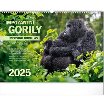 Kancelář Notique Nástěnný kalednář impozantní gorily 2025