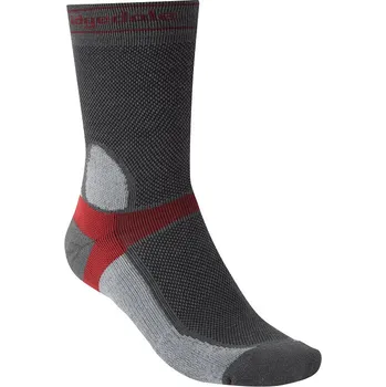 Pánské ponožky Pánské cyklistické ponožky Bridgedale MTB Summer Weight T2 Coolmax Sport Boot dk.grey/lt.grey 48-50