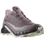 Salomon Dámské boty Alphacross 5 GTX EU 38 ⅔, Moonscape/Black/White