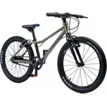 Rascal 20" Sturmey Archer Titan (šedá)