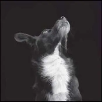 Zahraniční hudba LP Be Svendsen: Catchpenny & Cosmos EP Pt. 2 2011