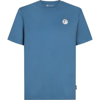 Pánské oblečení Pánské tričko O'Neill O'RIGINALS BADGE M Modrá, Bílá