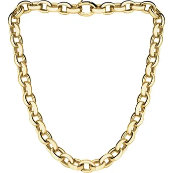 Náhrdelník Zlatý náhrdelník - AP541-3684