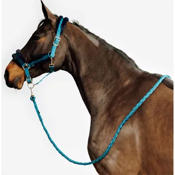 FOUGANZA Ohlávka a vodítko pro koně a poníky Comfort FS