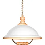 Prezent Acryl Wood 73006 1xE27 60W