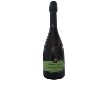 Šumivé víno - P&F-Sauvignon (bílé suché šumivé víno)