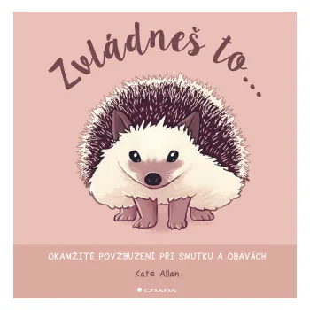 Kniha Zvládneš to... - Kate Allan