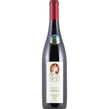 Víno Vinařství Oulehla - Pinot Noir pozdní sběr 2017 0,75l