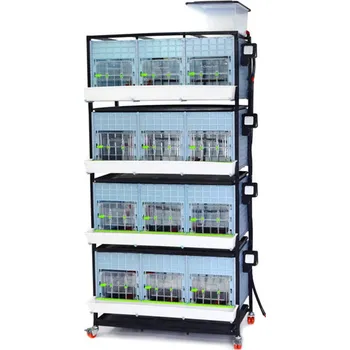 Bravson Odchovna drůbeže CIMUKA CB40-03-4K