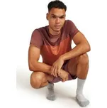 Icebreaker Pánské merino turistické ponožky Hike+ Light Crew, Ether/Alloy