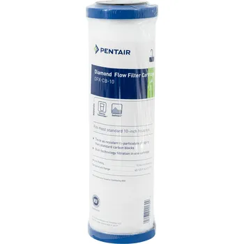 vodní filtr Pentair DFX, 10"