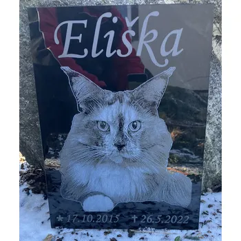 Smuteční dekorace Náhrobek pro kočku ze skla, 30x20
