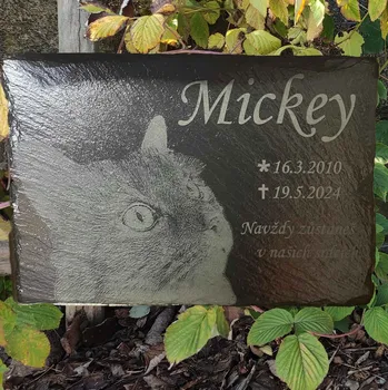 Smuteční dekorace JWD Náhrobek pro psa s fotkou, břidlice, 30x20