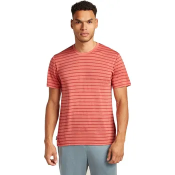 Pánské tričko Pánské merino tričko s krátkým rukávem ICEBREAKER Mens M 125 Cool-Lite Drayden SS Tee Stripe, Plume/Jasper/S velikost: S