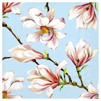 Papírový ubrousek Servírovací papírové ubrousky 20 ks CEDON