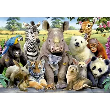 Puzzle Educa Puzzle fotka třídy 1000 dílků