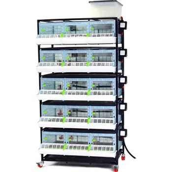 BRAVSON GROUP s.r.o. Odchovna drůbeže CIMUKA CB25-03-5K