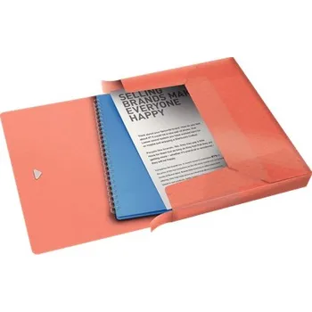 Esselte box na spisy Colour'Ice, broskvový 626263