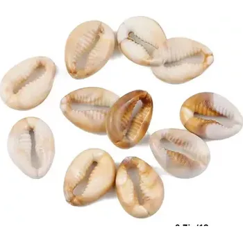 Dekorační mořské ulity 1,5cm /10ks/ (Uměle vyrobená napodobenina)