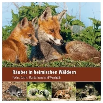 Příroda Räuber in heimischen Wäldern - Borrmann, Klaus