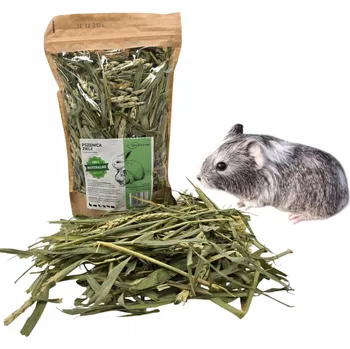 Krmivo pro hlodavce PŠENIČNÁ TRÁVA BYLINKY PRO KRÁLÍKY HLODAVCE PŘÍRODNÍ ČERSTVÁ PAMLSEK 100G