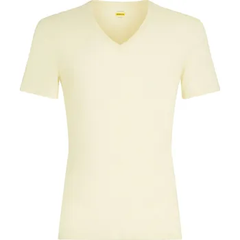 Pánské triko Icebreaker Mens Anatomica SS V Velikost: XL / Barva: bílá