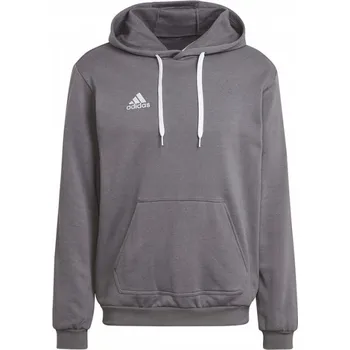 Pánská mikina Mikina adidas Entrada 22 Hoody šedá HB0578 XXL
