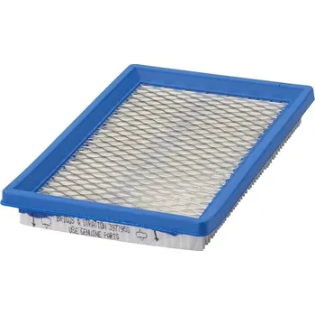 BRIGGS & STRATTON Filtr vzduchový B&S (397795S)