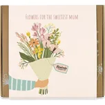 Blossombs Dárková sada semínek divokých květin Mother's day Medium – 9 ks