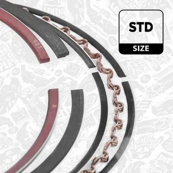 Píst motoru Sada pístních kroužků ET ENGINETEAM R1003200