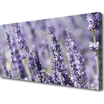 Obraz Obraz na plátně Květiny Rostlina Příroda 100x50 cm