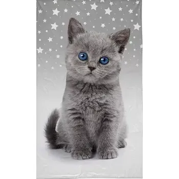 Ručník Ručník Kotě Modroočko 30x50 cm (Ručník kočka, ručník s kočkou)