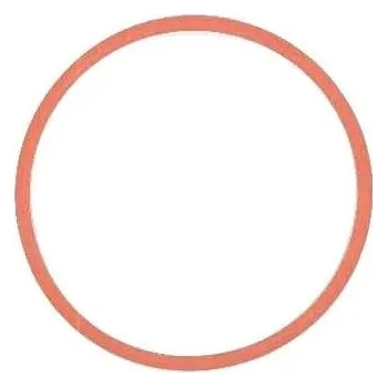 Automobilové těsnění Těsnění, koleno sacího potrubí ELRING 570.516