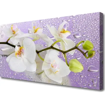 Obraz Obraz na plátně Květiny Rostlina Příroda 100x50 cm