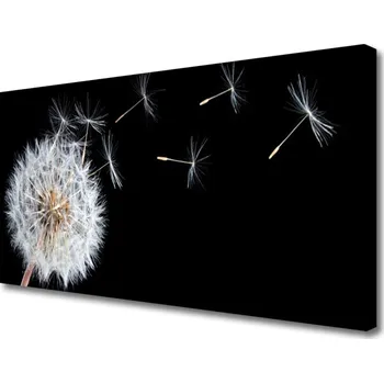 Obraz Obraz na plátně Pampeliška Květiny Příroda 100x50 cm