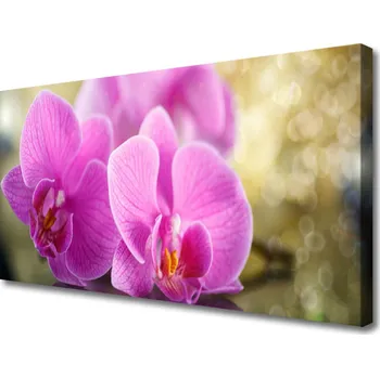 Obraz Obraz na plátně Květiny Rostlina Příroda 120x60 cm