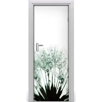 Fototapeta Fototapeta samolepící Semena pampelišky 85x205 cm