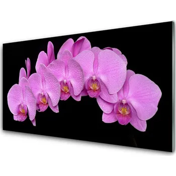 Obraz Obraz na skle Květiny 140x70 cm 2 Přívěsky