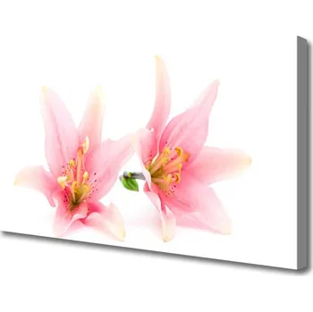 Obraz Obraz na plátně Květiny Rostlina Příroda 100x50 cm