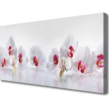 Obraz Obraz na plátně Květiny Rostlina Příroda 120x60 cm