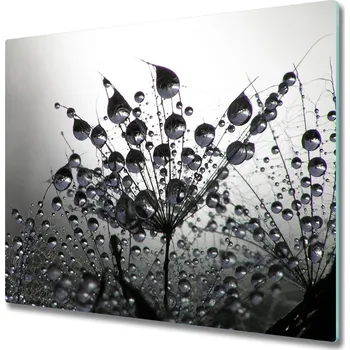 Kuchyňské prkénko Skleněná krájecí deska Pampeliška semena 60x52 cm