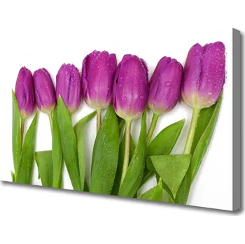 Obraz Obraz na plátně Tulipány Květiny Rostlina 120x60 cm