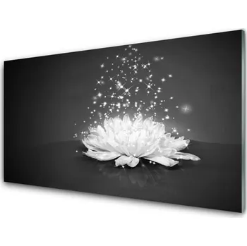 Obraz Obraz na skle Květ Rostlina Příroda 100x50 cm 2 Přívěsky